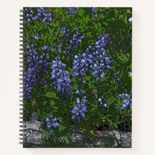 Lupinen Notizbuch