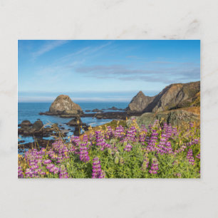 Lupinen-Wildblumen bedecken die Hügel Postkarte