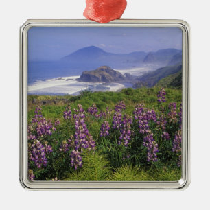 Lupinenblumen und raue Küstenlinie entlang Ornament Aus Metall