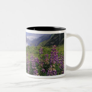 Lupinenblumen und raue Küstenlinie entlang Zweifarbige Tasse