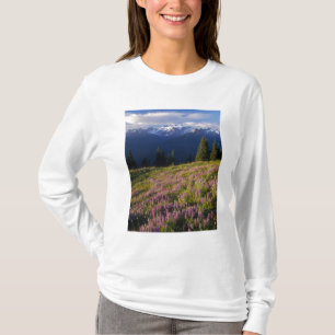 Lupinenfeld, Olympus und Wolken am T-Shirt