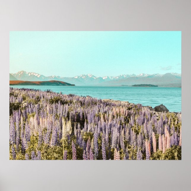 Lupiner See | Art Print Poster (Vorne)