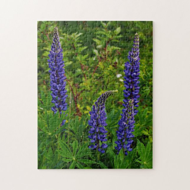 Lupines (Vertikal)