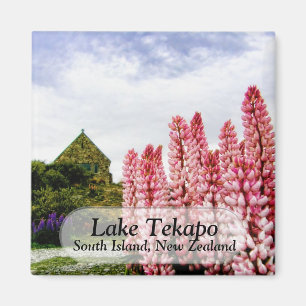 Lupins roses @ Lake Tekapo Magnet Nouvelle-Zélande