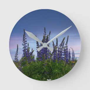 Lupins    runde wanduhr
