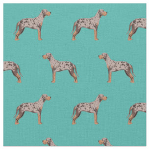 Lupisiana catahoula leopard Hund Türkis Stoff