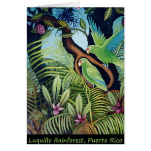 Luquillo Papageien