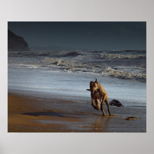 Lurcher am Strand laufen Poster (Vorne)