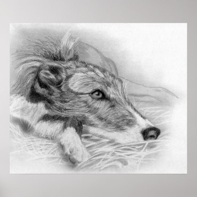 Lurcher Dog Portrait Poster (Vorne)