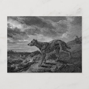 Lurcher Hogs Vintag Zeichnend Postkarte
