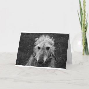 Lurcher Karte