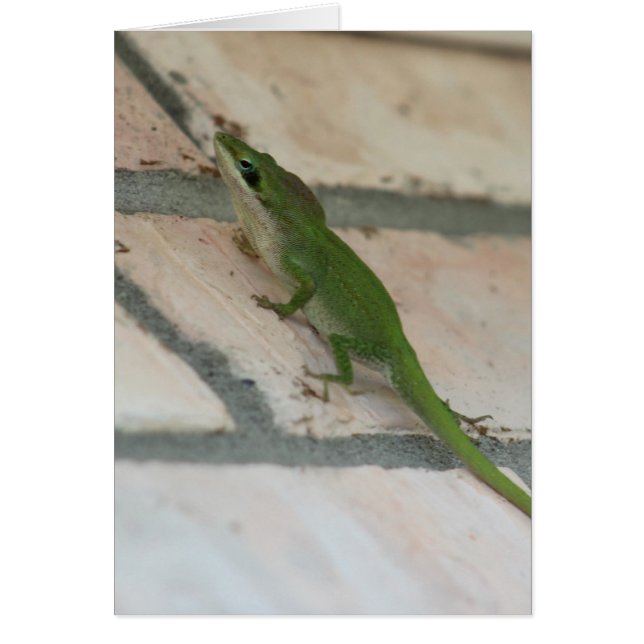 Lurking Green Lizard (Vorne)