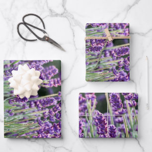 Luscious Lavender Geschenkpapier Set