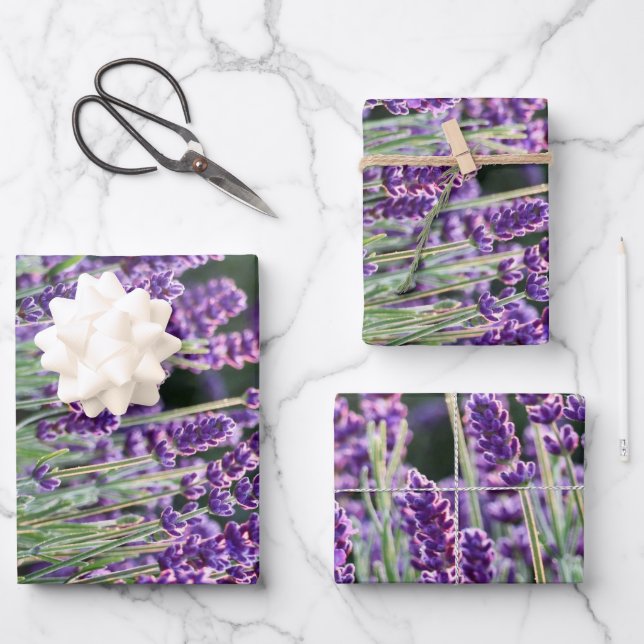 Luscious Lavender Geschenkpapier Set (Vorderseite)