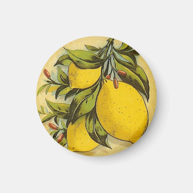 Luscious Lemons Magnet (Vorne)