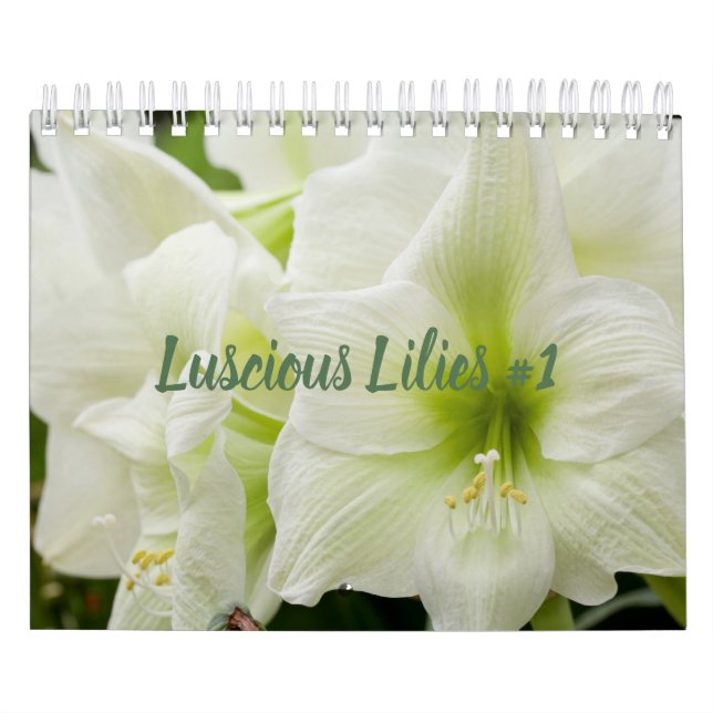 Luscious Lilies #1 Kalender (Titelbild)