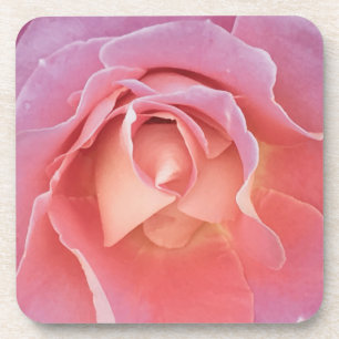 Luscious Pink Rose Getränkeuntersetzer