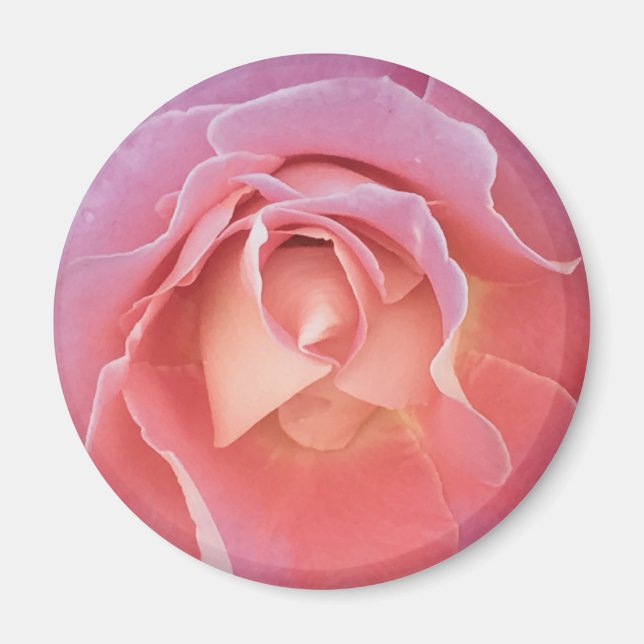 Luscious Pink Rose Magnet (Vorne)