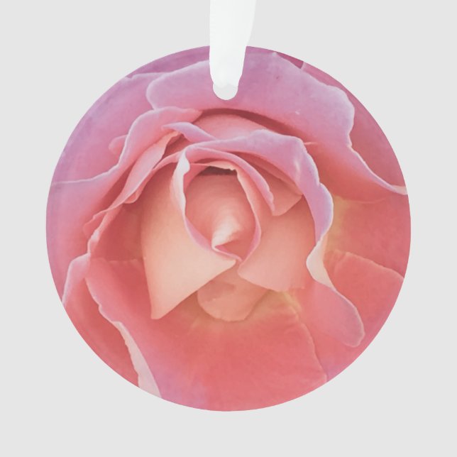Luscious Pink Rose Ornament (Vorderseite)