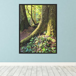 Lush Evergreen Forest Fotografie Leinwanddruck