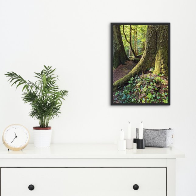 Lush Evergreen Forest Nature Fotodruck (In Situ Framed)
