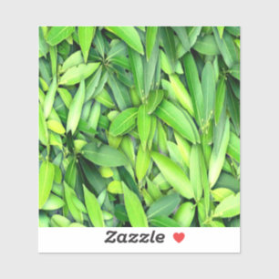 Lush Green Blätter Pattern - Natur botanisch Aufkleber