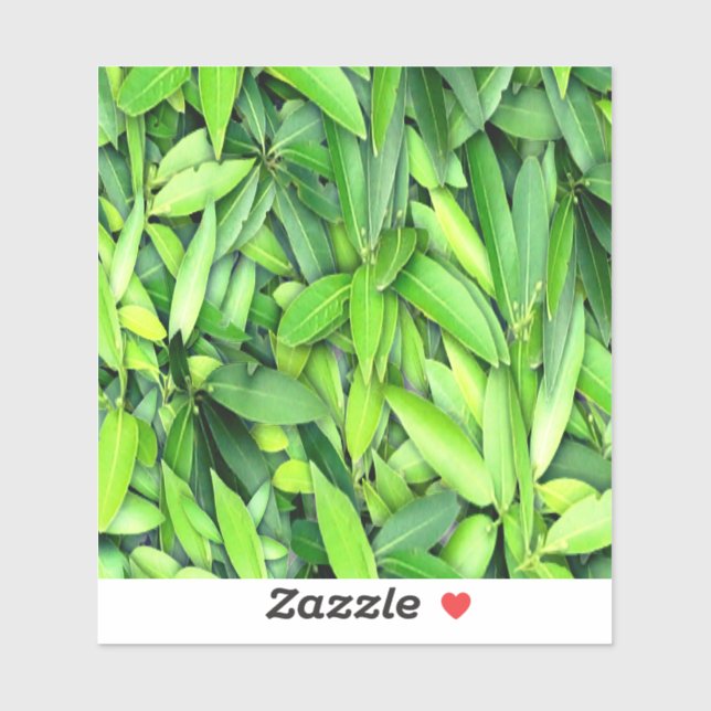 Lush Green Blätter Pattern - Natur botanisch Aufkleber (Blatt)