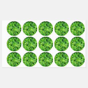 Lush Green Blätter Pattern - Natur botanisch Etiketten