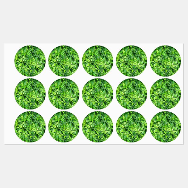 Lush Green Blätter Pattern - Natur botanisch Etiketten (Blatt)