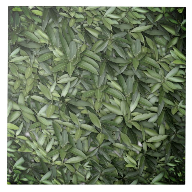 Lush Green Blätter Pattern - Natur botanisch Fliese (Vorderseite)