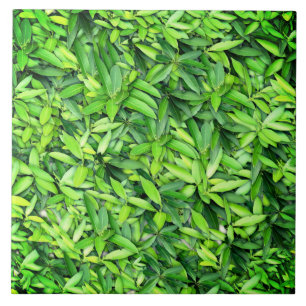 Lush Green Blätter Pattern - Natur botanisch Fliese