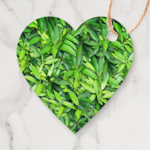 Lush Green Blätter Pattern - Natur botanisch Geschenkanhänger