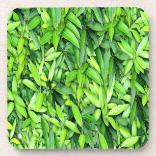 Lush Green Blätter Pattern - Natur botanisch Getränkeuntersetzer