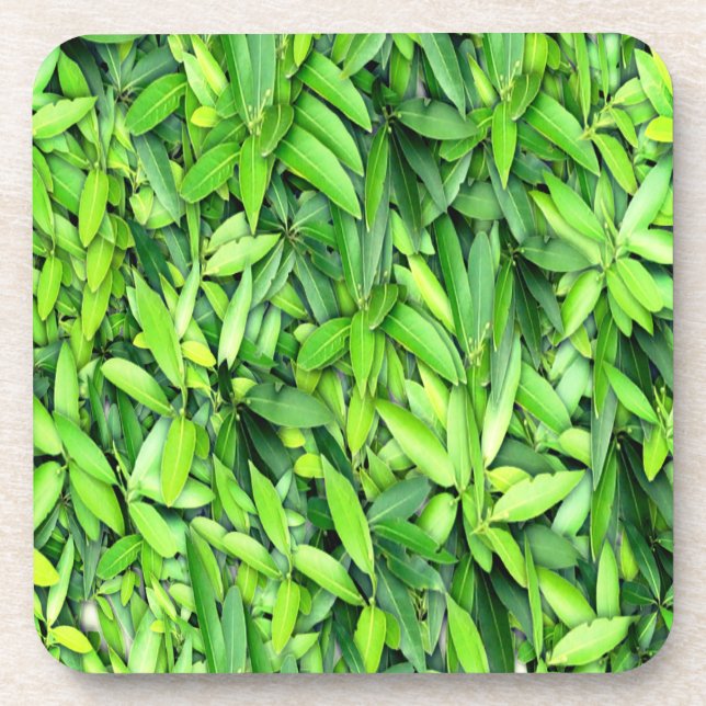 Lush Green Blätter Pattern - Natur botanisch Getränkeuntersetzer (Vorderseite)