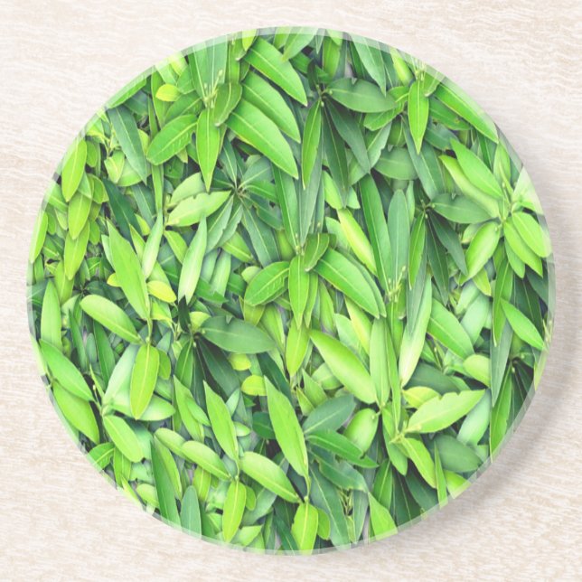 Lush Green Blätter Pattern - Natur botanisch Getränkeuntersetzer (Vorne)