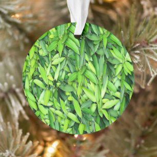 Lush Green Blätter Pattern - Natur botanisch Ornament