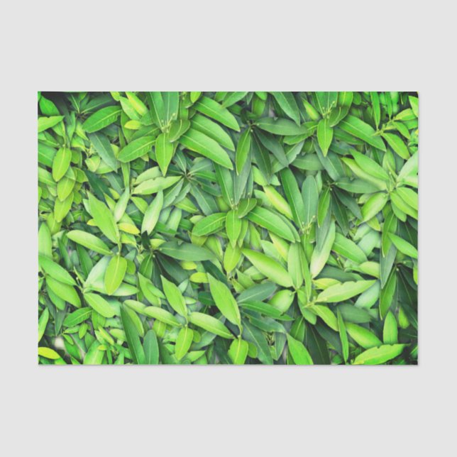 Lush Green Blätter Pattern - Natur botanisch Seidenpapier (Vorderseite)