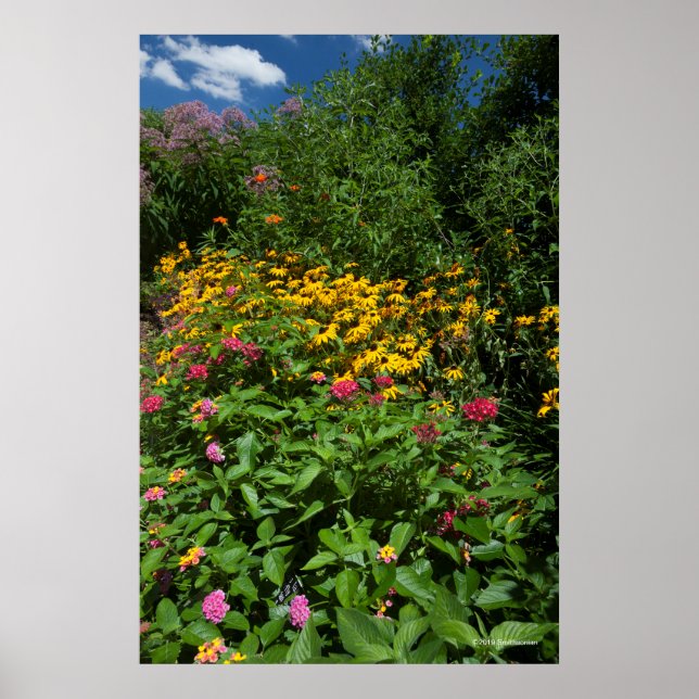 Lush Green Garden Poster (Vorne)