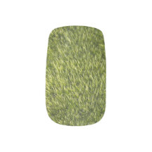 Lush Green Moss