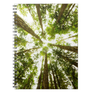Lush Green Rain Forest Notizblock
