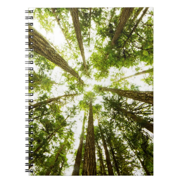 Lush Green Rain Forest Notizblock (Vorderseite)