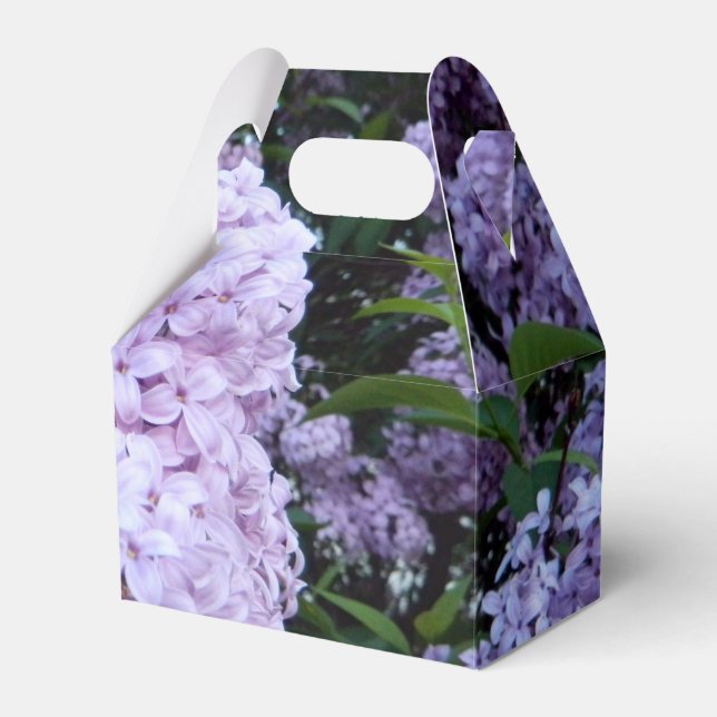 Lush Lilacs Gastgeschenk Box Geschenkschachtel (Vorderseite)