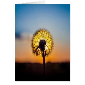 Lüster bei Sonnenaufgang