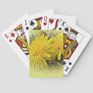 Lüster - Ein sonniger Hi Spielkarten