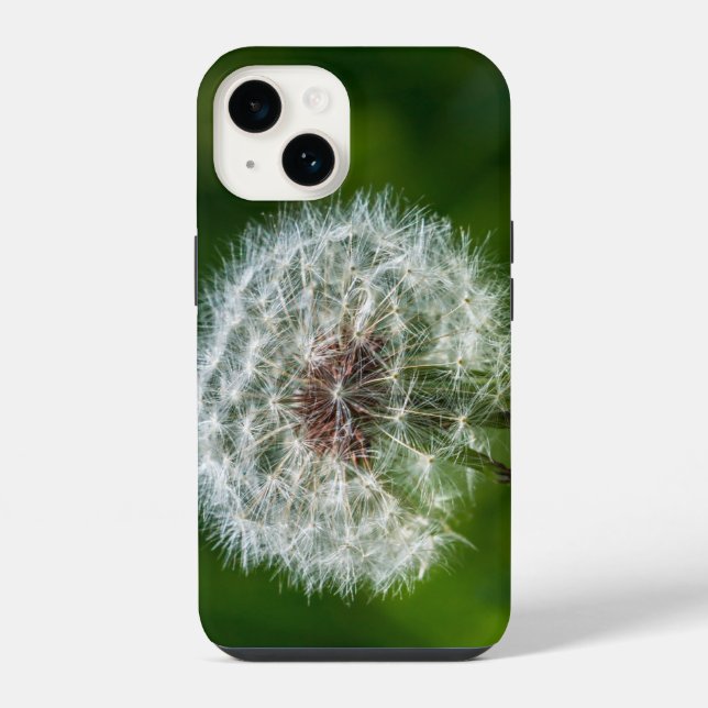 Lüster im hellen iPhone-Fall iPhone 14 Hülle (Rückseite)