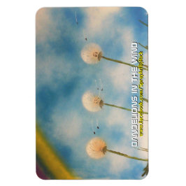 Lüster im Wind Magnet