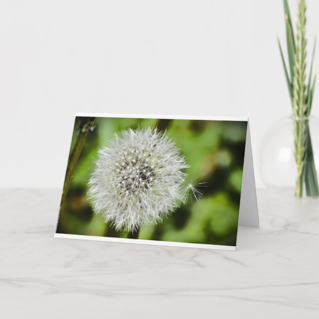 Lüster, Karte (Vorderseite)