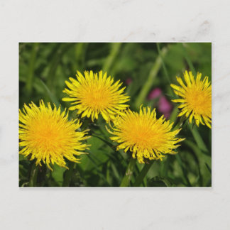 Lüster Postkarte