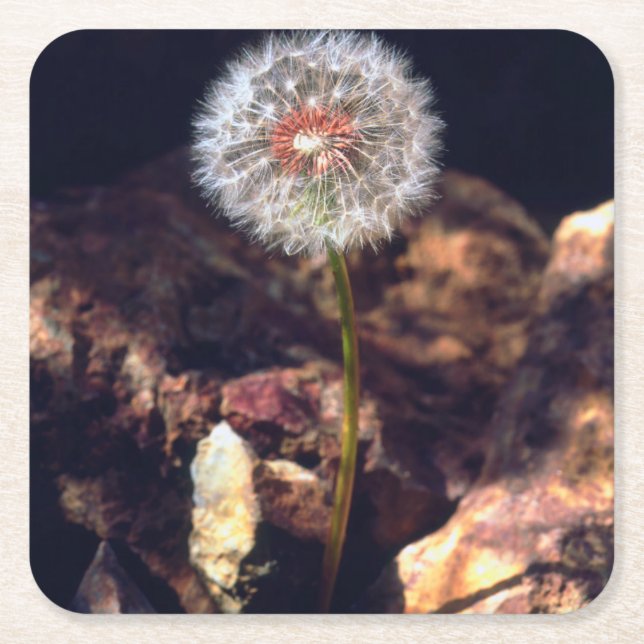 Lüster Rechteckiger Pappuntersetzer (Vorderseite)