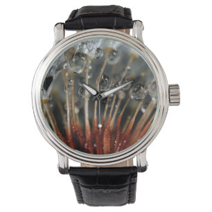 Lüster und Wassertropfen, CA Armbanduhr